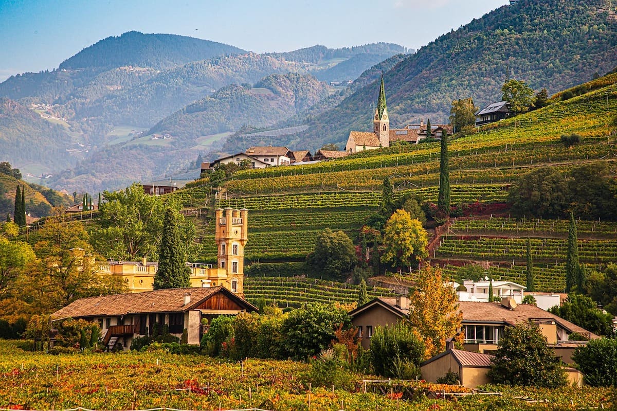 Energia: TAR Bolzano annulla limiti a impianti agrivoltaici