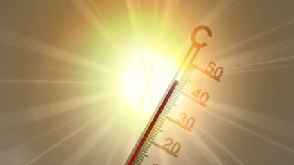 Rinnovabili • L'Europa brucia e i prezzi della luce salgono: l’ondata di calore si legge in bolletta