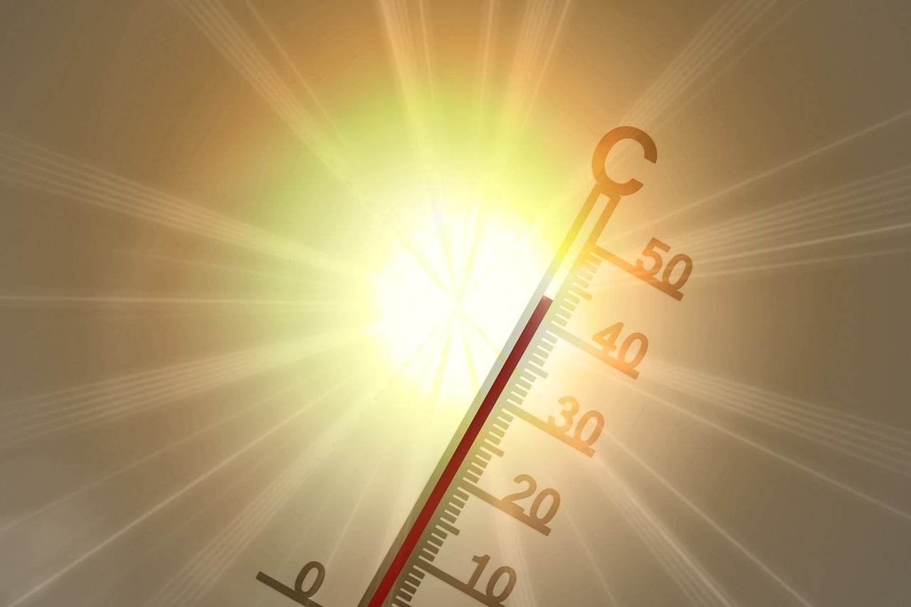 L’Europa brucia e i prezzi della luce salgono: l’ondata di calore si legge in bolletta