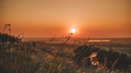 Rinnovabili • Perché non è vero che ha sempre fatto così caldo in estate