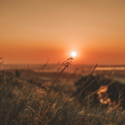 Rinnovabili • Perché non è vero che ha sempre fatto così caldo in estate