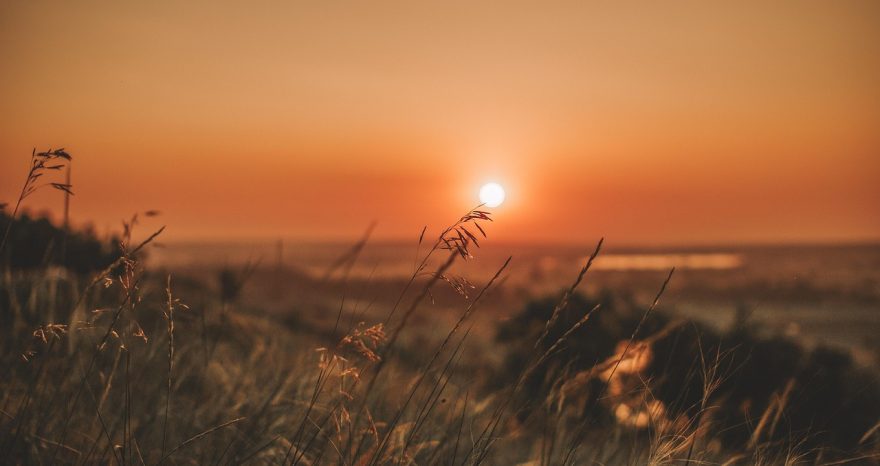 Rinnovabili • Perché non è vero che ha sempre fatto così caldo in estate