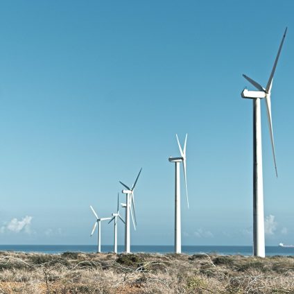Rinnovabili • Dall’Istituto un supporto tecnico metodologico per la corretta redazione degli studi di impatto ambientale riguardanti gli impianti eolici a terra. Stabiliti criteri rigorosi per descrivere lo scenario di base, valutare le alternative progettuali e definire efficaci misure di mitigazione e monitoraggio ambientale.