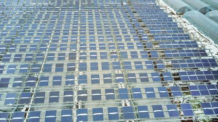 Rinnovabili • Agrivoltaico, il Consiglio di Stato conferma: non può essere riservato solo agli agricoltori