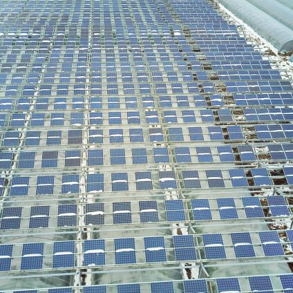 Rinnovabili • Agrivoltaico, il Consiglio di Stato conferma: non può essere riservato solo agli agricoltori