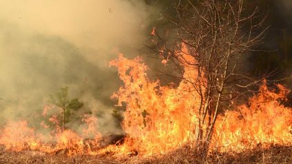 Rinnovabili • el-nino-forte-temperatura-oltre-2-gradi
