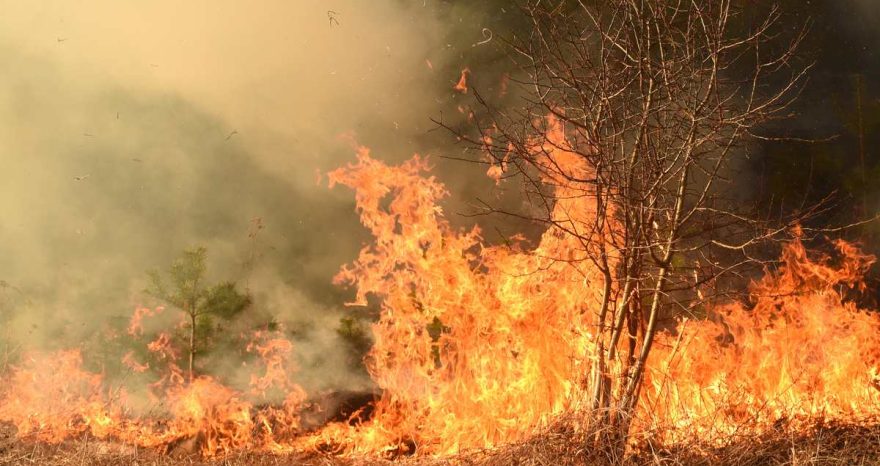 Rinnovabili • el-nino-forte-temperatura-oltre-2-gradi