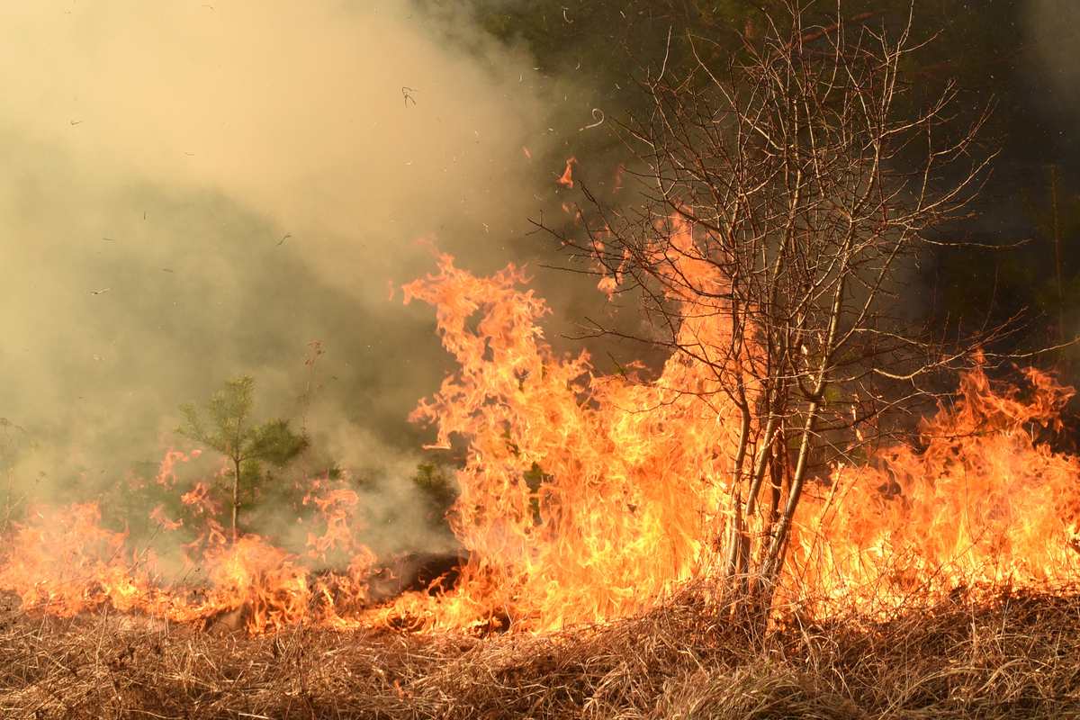 El Niño può spingere la temperatura globale oltre i 2 gradi Celsius all’inizio del 2027