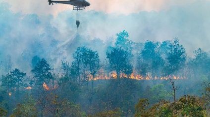 Rinnovabili • incendi-in-francia-e-spagna-ue-valuta-risposta-futura-ai-roghi