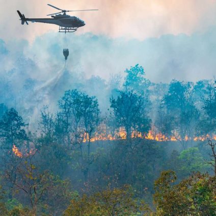 Rinnovabili • incendi-in-francia-e-spagna-ue-valuta-risposta-futura-ai-roghi