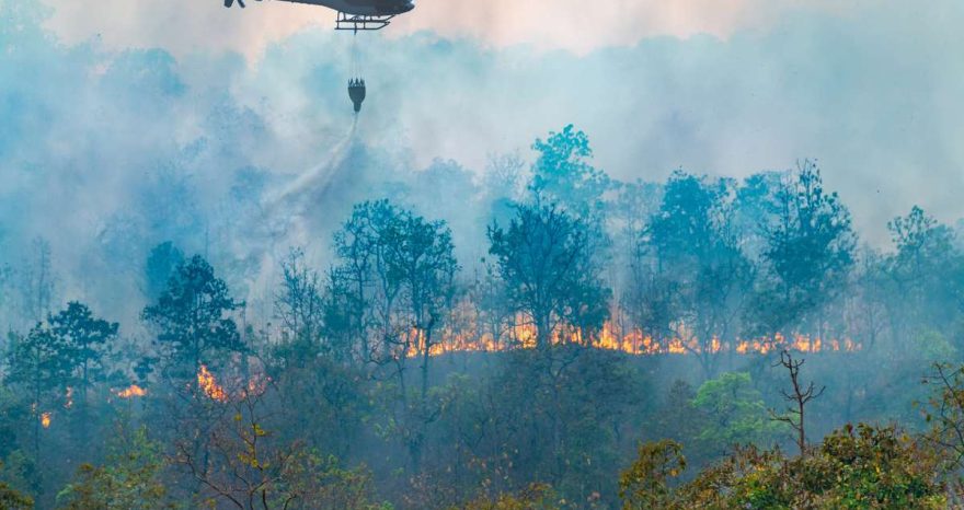 Rinnovabili • incendi-in-francia-e-spagna-ue-valuta-risposta-futura-ai-roghi