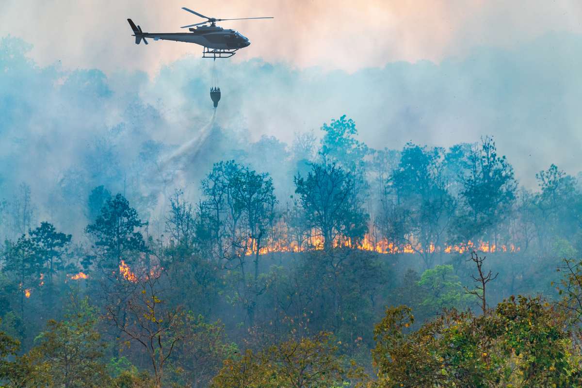 L’UE pensa a nuove iniziative contro gli incendi boschivi per adeguarsi ai cambiamenti climatici