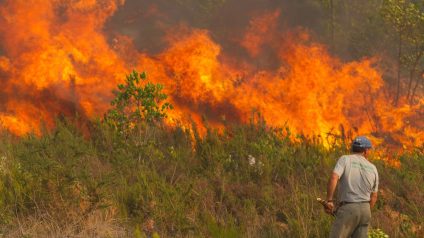 Rinnovabili • incendi-europa-ancora-sopra-media-ultimi-20-anni