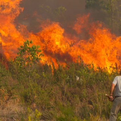 Rinnovabili • incendi-europa-ancora-sopra-media-ultimi-20-anni
