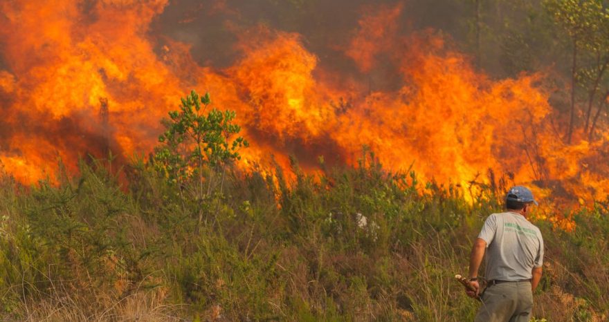 Rinnovabili • incendi-europa-ancora-sopra-media-ultimi-20-anni