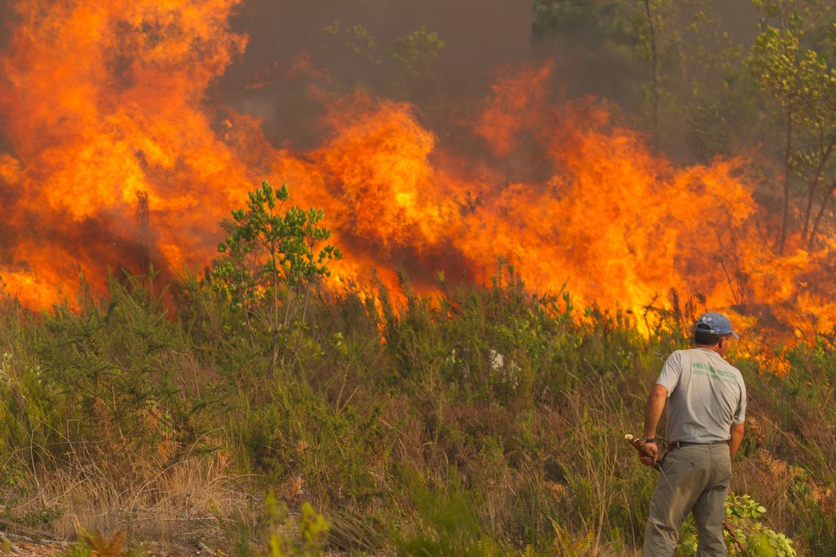 Incendi in Europa ancora sopra la media degli ultimi 20 anni