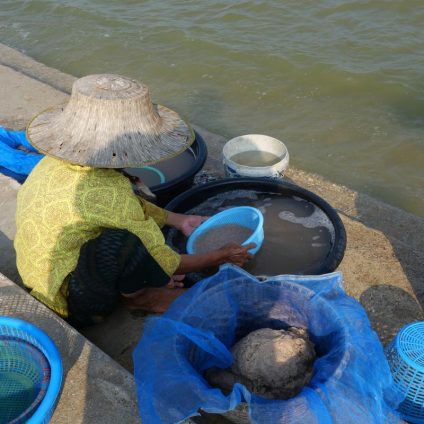 Rinnovabili • mekong-terre-rare-pesanti-myanmar-cina