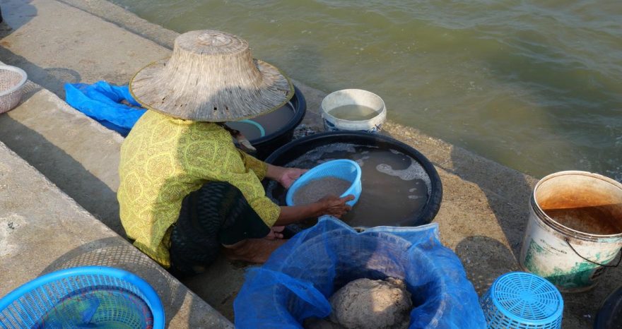 Rinnovabili • mekong-terre-rare-pesanti-myanmar-cina