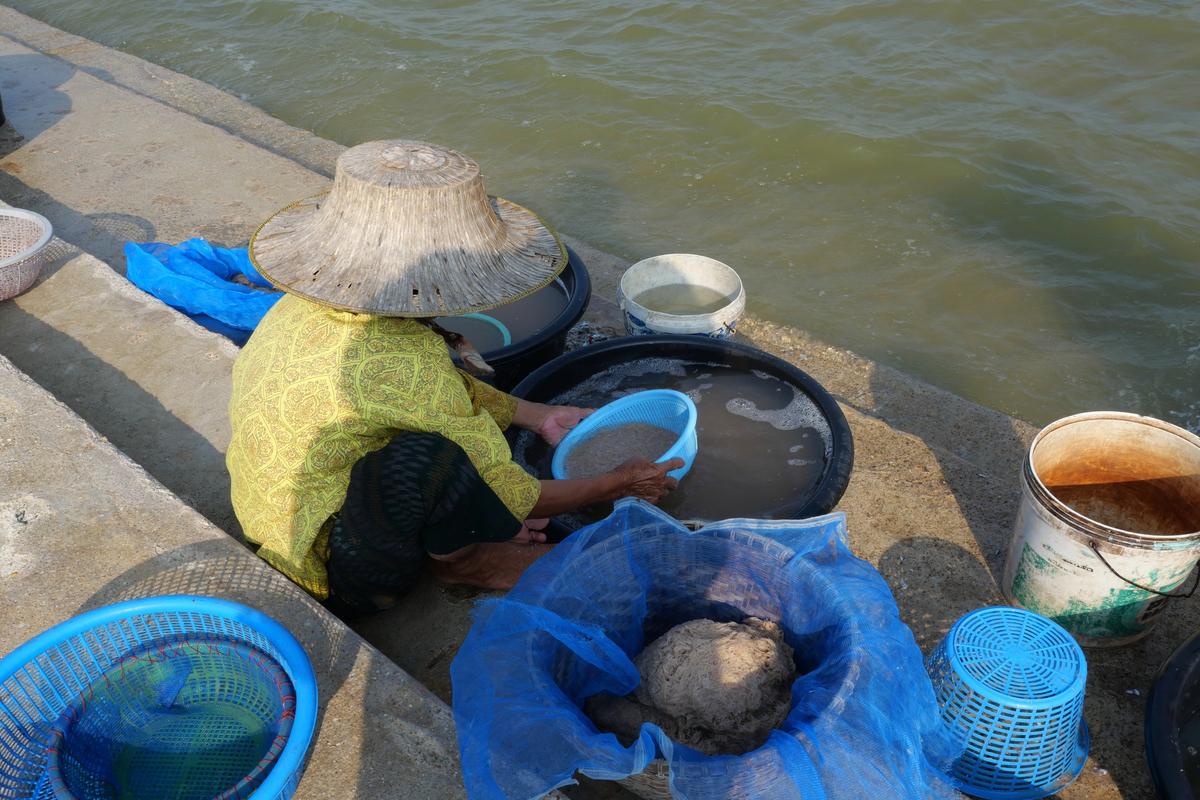 L’estrazione illecita di terre rare pesanti in Myanmar finanzia la guerra e avvelena il Mekong