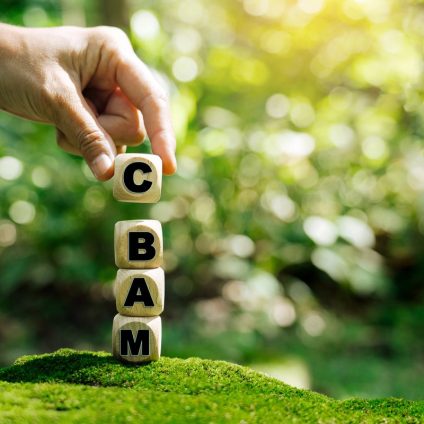 Rinnovabili • CBAM e carbon pricing Paesi terzi: gli effetti delle politiche UE
