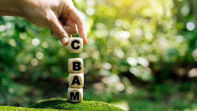 Rinnovabili • CBAM e carbon pricing Paesi terzi: gli effetti delle politiche UE