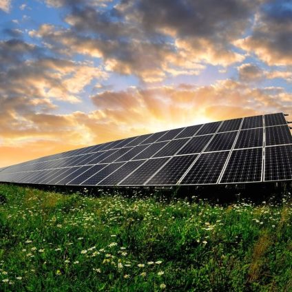 Rinnovabili • Gestione terreni fotovoltaico