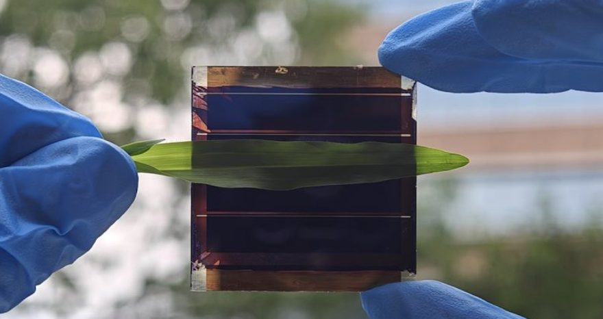 Rinnovabili • Come rendere anche le pellicole fotovoltaiche resistenti all’ombra