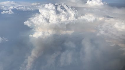 Rinnovabili • Il pirocumulonembo: quando un incendio genera il suo temporale