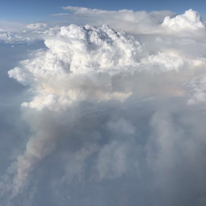Rinnovabili • Il pirocumulonembo: quando un incendio genera il suo temporale