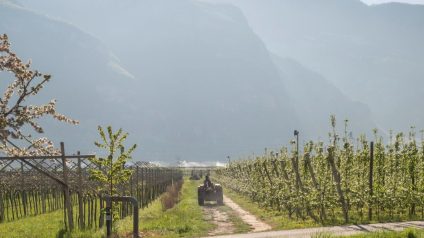 Rinnovabili • Aree idonee della Provincia di Trento, le novità approvate