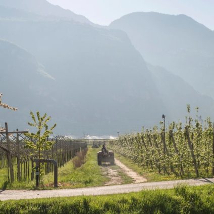 Rinnovabili • Aree idonee della Provincia di Trento, le novità approvate