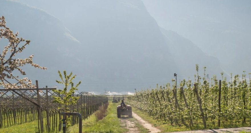 Rinnovabili • Aree idonee della Provincia di Trento, le novità approvate
