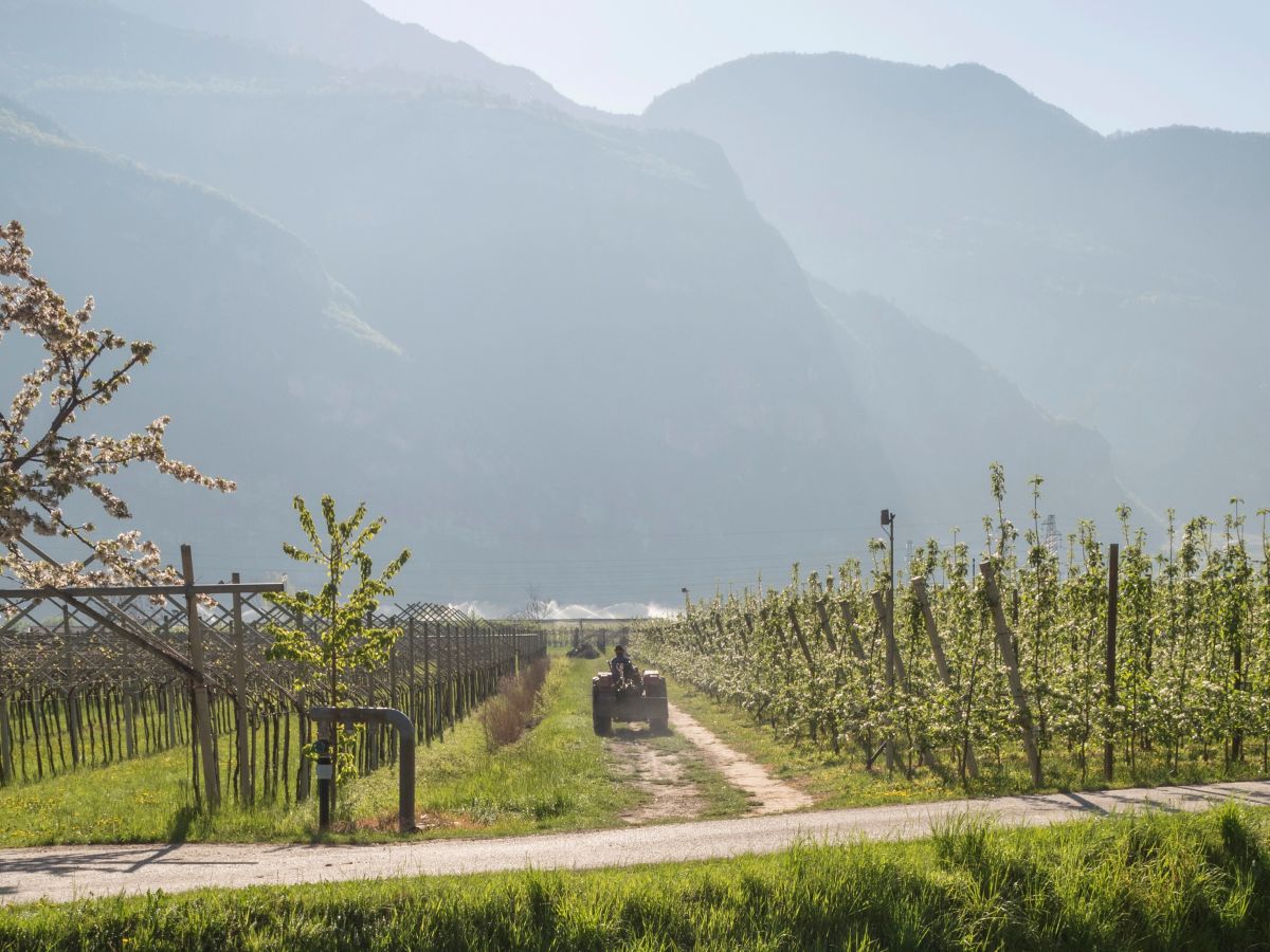 Aree idonee della Provincia di Trento, le novità approvate