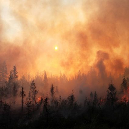 Rinnovabili • Gli incendi in Canada sono una conseguenza della crisi climatica