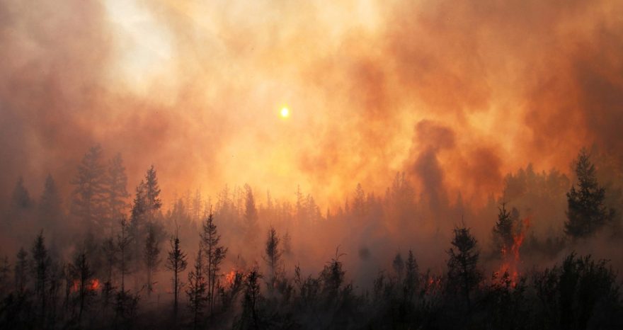 Rinnovabili • Gli incendi in Canada sono una conseguenza della crisi climatica