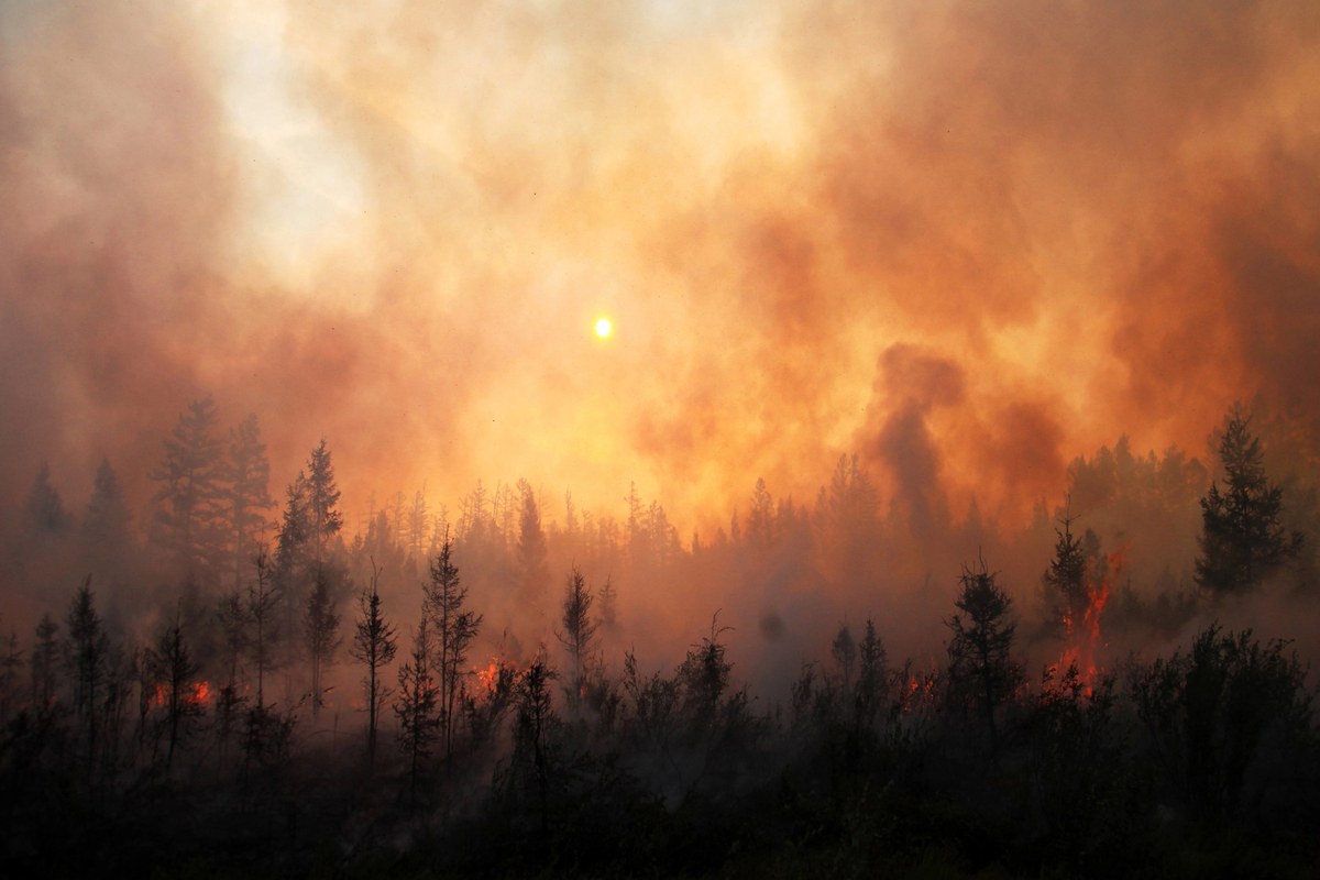 La crisi climatica causata dall’uomo alimenta i pericolosi incendi del Canada