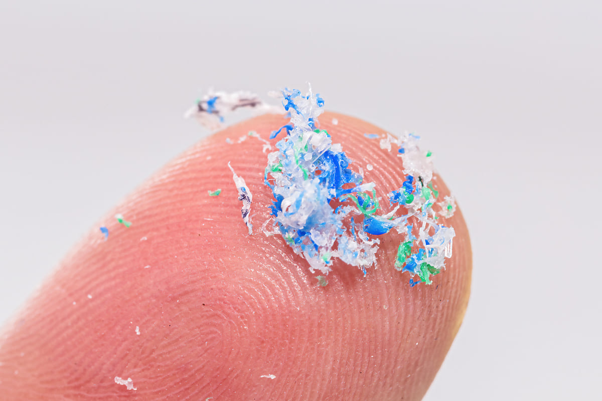 Microplastiche, l’impatto riguarda la salute dell’uomo e dell’intero ecosistema del pianeta