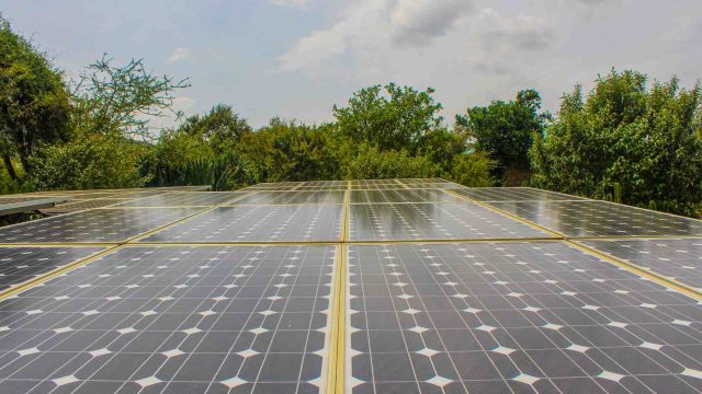 Rinnovabili • Cina Kenya: l'alleanza verde e il commercio a dazio zero
