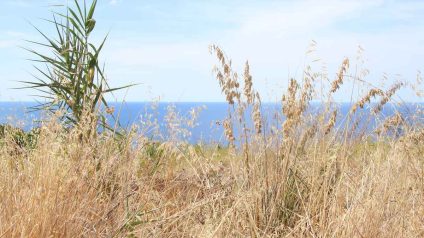 Rinnovabili • Clima del Mediterraneo e monsone, estati più calde e asciutte