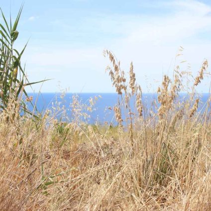 Rinnovabili • Clima del Mediterraneo e monsone, estati più calde e asciutte