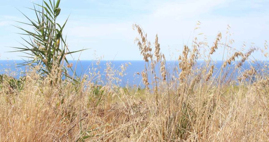 Rinnovabili • Clima del Mediterraneo e monsone, estati più calde e asciutte