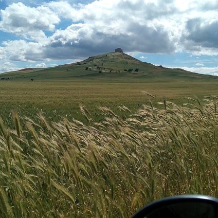Rinnovabili • FER e tutela del paesaggio: per il CdS i divieti assoluti sono illegittimi