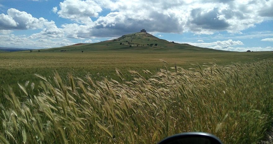 Rinnovabili • FER e tutela del paesaggio: per il CdS i divieti assoluti sono illegittimi