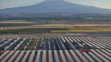 Rinnovabili • Nadara e Amazon inaugurano il più grande impianto agrivoltaico d’Italia: un progetto da  227 MW in Sicilia 