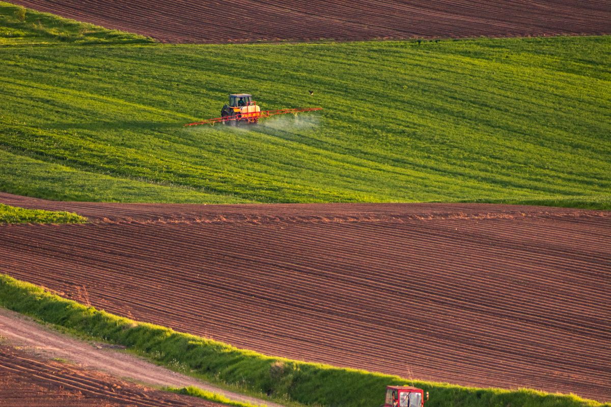 Rinnovabili • Le sfide del settore agroalimentare verso la transizione energetica