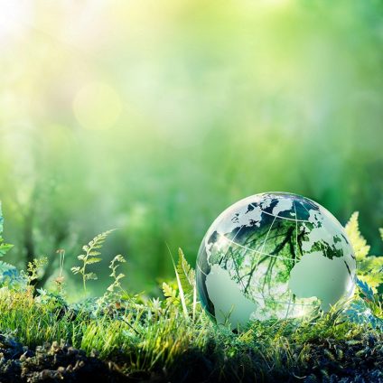 Rinnovabili • Sostenibilità in Italia 2026: l'85% dei consumatori sceglie prodotti green