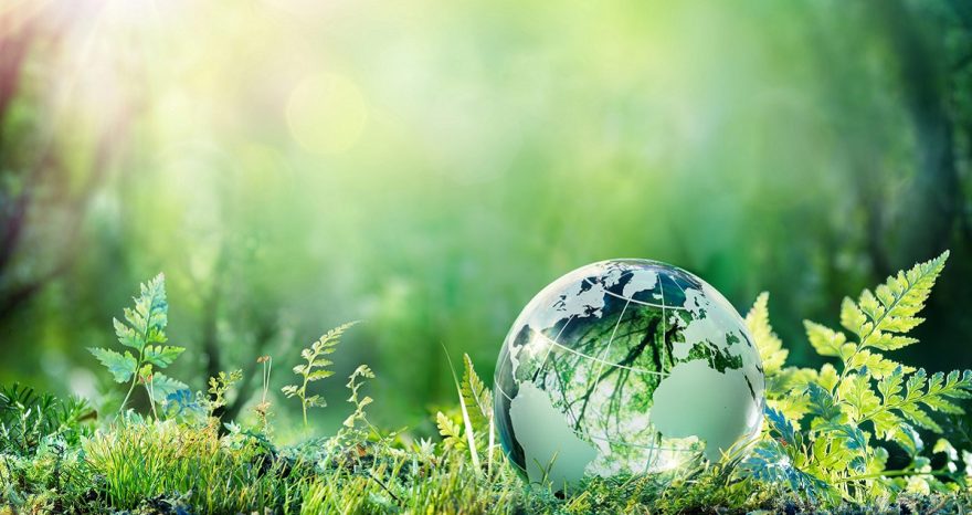 Rinnovabili • Sostenibilità in Italia 2026: l'85% dei consumatori sceglie prodotti green