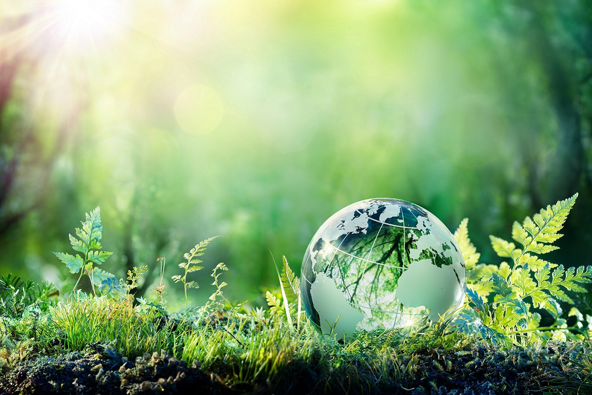 Rinnovabili • Sostenibilità in Italia 2026: l'85% dei consumatori sceglie prodotti green
