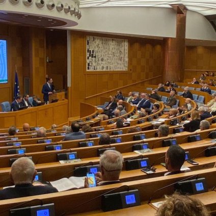 Rinnovabili • Legno Energia Italia, l'AIEL porta alla Camera cinque proposte per la filiera bosco-legno-energia