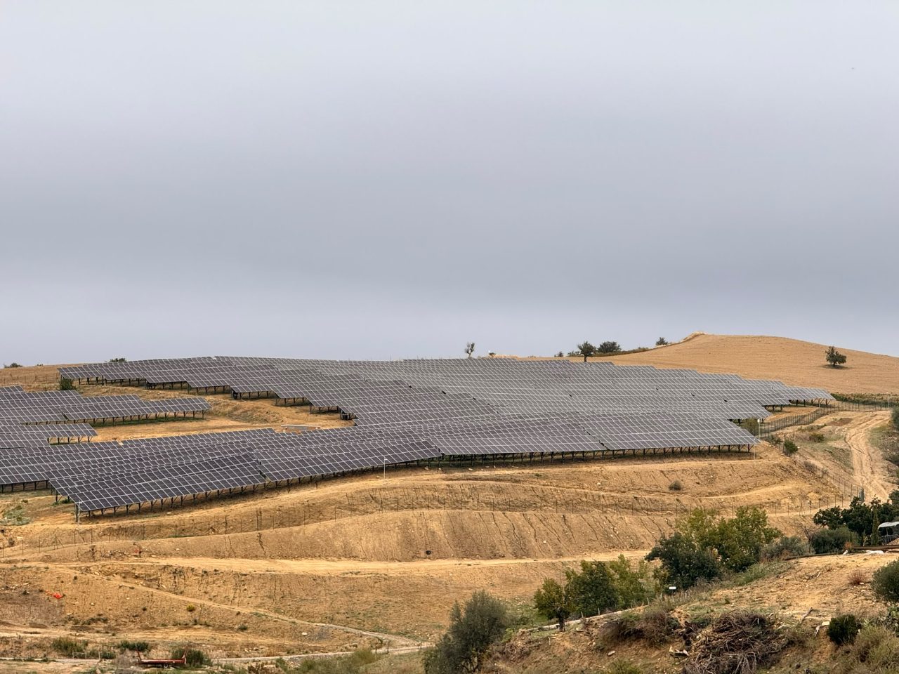 Rinnovabili • Transizione energetica, RWE inaugura l’impianto agrivoltaico avanzato di Enna ed accoglie il territorio ai Rinnovamente Days